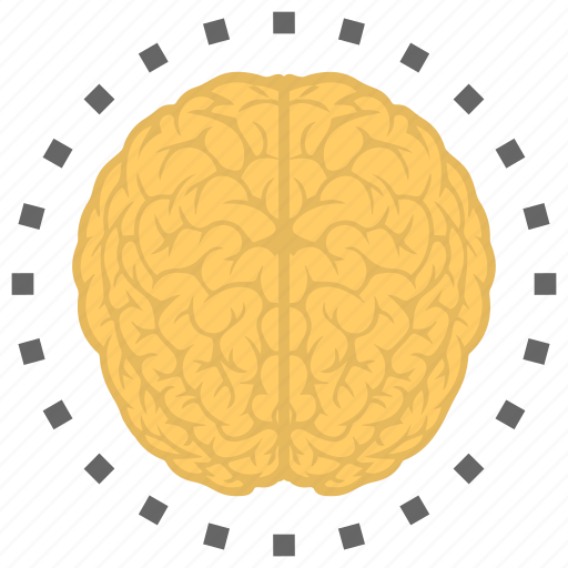 Brain, head, human brain, human mind, mind icon - Download on Iconfinder