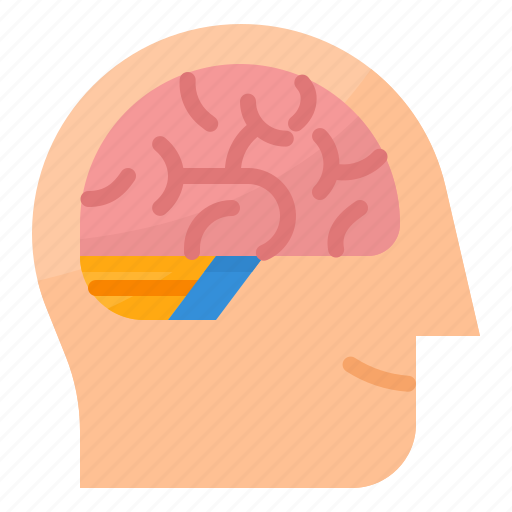 Brain, human, intelligence, smart icon - Download on Iconfinder