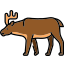 moose, animal 