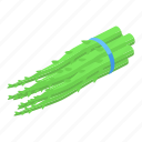 asparagus, branch, isometric