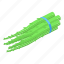 asparagus, branch, isometric 