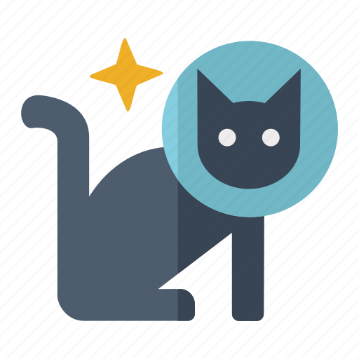 Cat, space, astronomy, animal, pet icon - Download on Iconfinder
