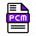pcm, code, audio, file, types, extension, format