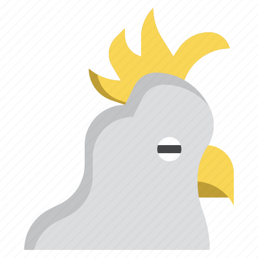 Cockatoo, fauna, parrot, animals, australia icon - Download on Iconfinder