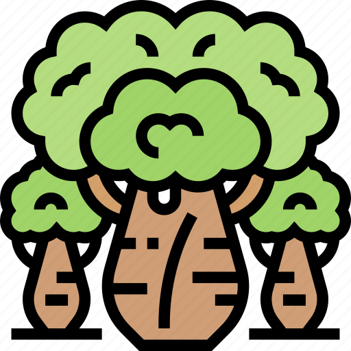 Bottle, tree, baobab, botany, nature icon - Download on Iconfinder