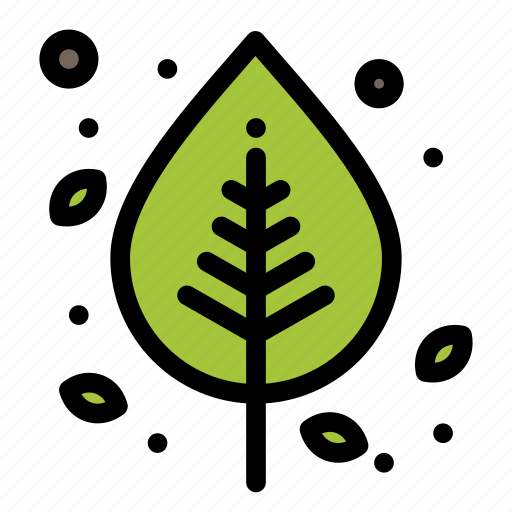 Autumn, birch, leaf, nature, tree icon - Download on Iconfinder