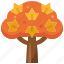 maple, wood, tree, fall, autumn, ecology, plant 