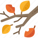 leaves, branch, twig, tree, nature, autumn, plant
