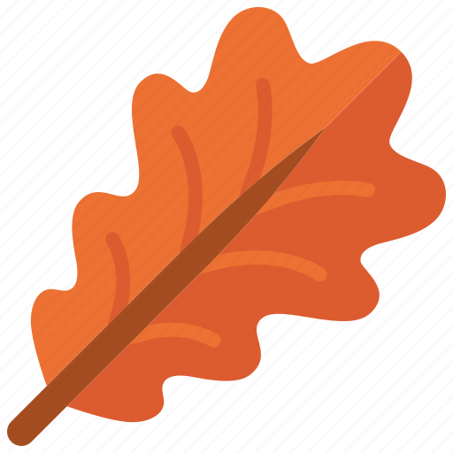 Leaves, oak, plant, nature, autumn, leaf, foliage icon - Download on Iconfinder