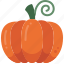vegetable, autumn, harvest, food, pumpkin 