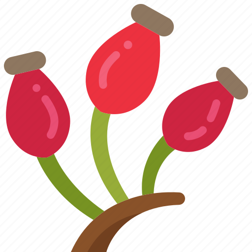 Rosehip, berry, food, nature, rose, plant, fruit icon - Download on Iconfinder