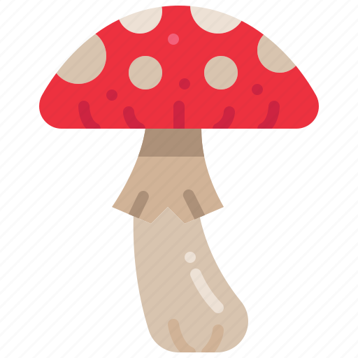 Fungi, poison, mushroom, nature, toadstool, forest icon - Download on Iconfinder