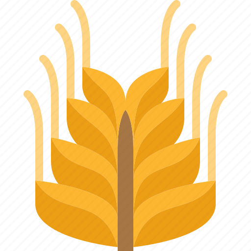 Grain, rice, healthy, wheat, food, harvest icon - Download on Iconfinder