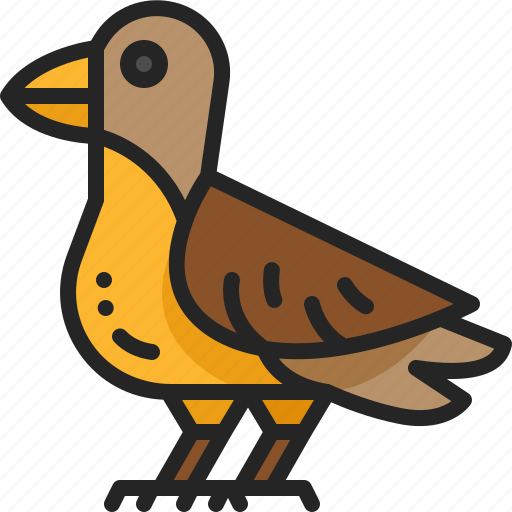 Wing, wildlife, bird, animal, autumn, zoo, nature icon - Download on Iconfinder