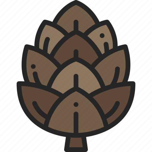 Cone, dry, pine, autumn, plant, nut, tree icon - Download on Iconfinder