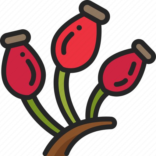 Berry, rosehip, plant, fruit, nature, rose icon - Download on Iconfinder