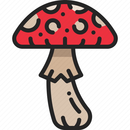 Fungi, toadstool, forest, poison, mushroom, nature icon - Download on Iconfinder