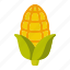 corn, grain, leaf, harvest, vegetable 