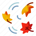 leaf, nature, maple, autumn, plant