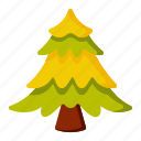 pine, christmas, tree, plant, nature