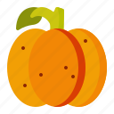 pumpkin, halloween, lantern, vegetable, jack