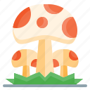 autumn, fall, fungus, mushroom, mushrooms, nature, season