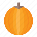 autumn, fall, food, pumpkin, thanksgiving, vegetable, vitamin