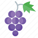 autumn, fruit, grape, grapes, wine, blackcurrant, healthy