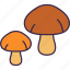 autumn, nature, season, fall, weather, harvest, mushroom 