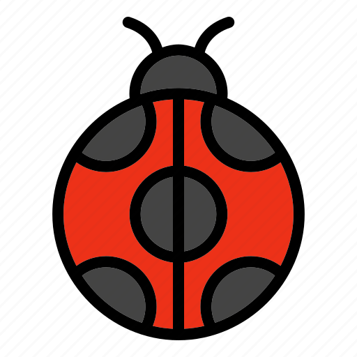 Autumn, ladybug, insect, ladybird, bug, animal, nature icon - Download on Iconfinder