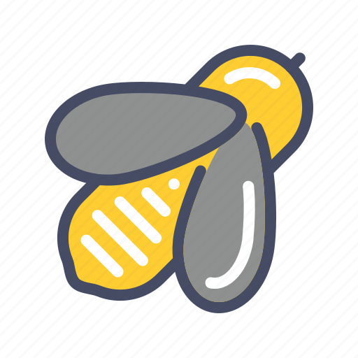 Apiary, bee, honey, insect icon - Download on Iconfinder