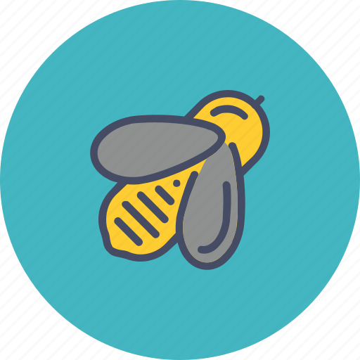 Apiary, bee, honey, insect icon - Download on Iconfinder