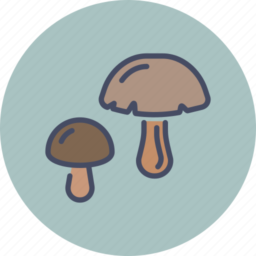 Fungus, grow, healthy, mushroom, plant, shroom, vegetable icon - Download on Iconfinder
