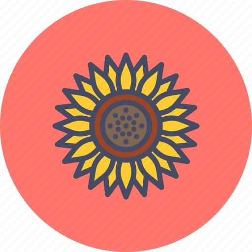 Blossom, chrysanthemum, daisy, flower, spring, sunflower, thanksgiving icon - Download on Iconfinder