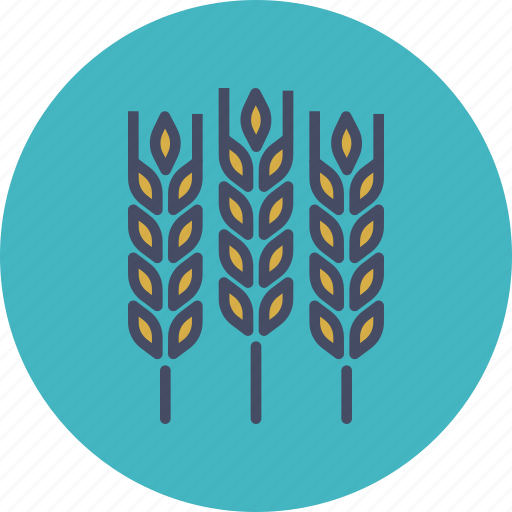 Agriculture, crop, food, gluten, grain, harvest, wheat icon - Download on Iconfinder