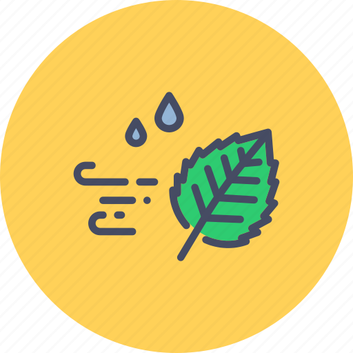 Autumn, fall, leaf, season, weather, wind, windy icon - Download on Iconfinder