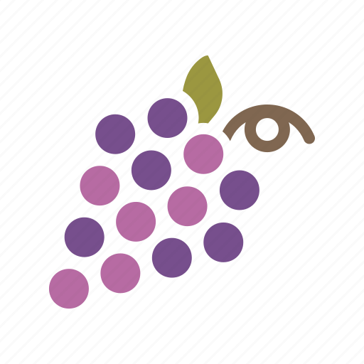 Berry, food, fruit, grapes, healthy, vine, wine icon - Download on Iconfinder