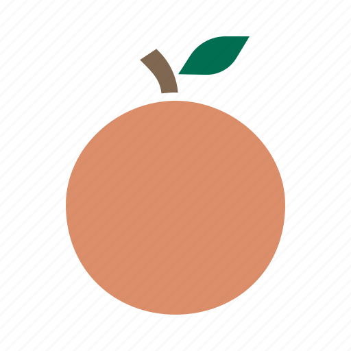 Autumn, food, fruit, healthy, orange, peach, spring icon - Download on Iconfinder
