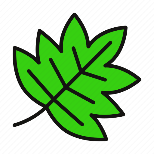 Autumn, green, leaf, nature icon - Download on Iconfinder