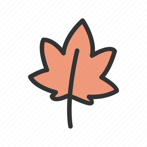 Autumn, color, fall, green, leaf, leaves, nature icon - Download on Iconfinder