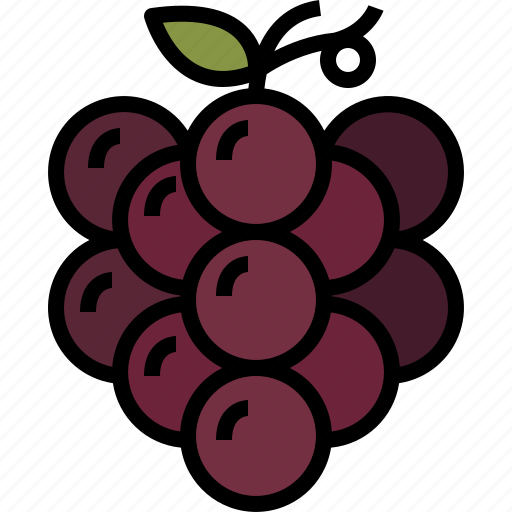 Autumn, berry, food, fruit, grapes, healthy, vine icon - Download on Iconfinder