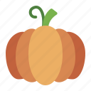 pumpkin, fruit, vegetable, farm, autumn, fall, season