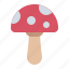 mushroom, autumn, fall, season 