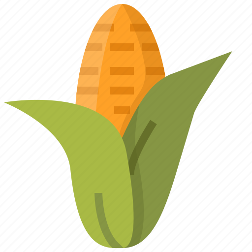 Autumn, corn, food, grain, maize, plant, staple icon - Download on Iconfinder