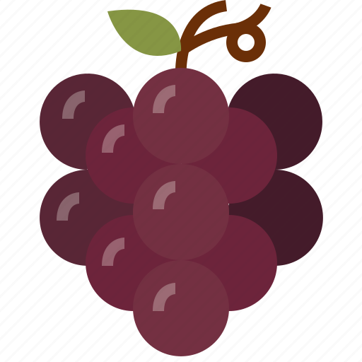 Autumn, berry, food, fruit, grapes, healthy, vine icon - Download on Iconfinder