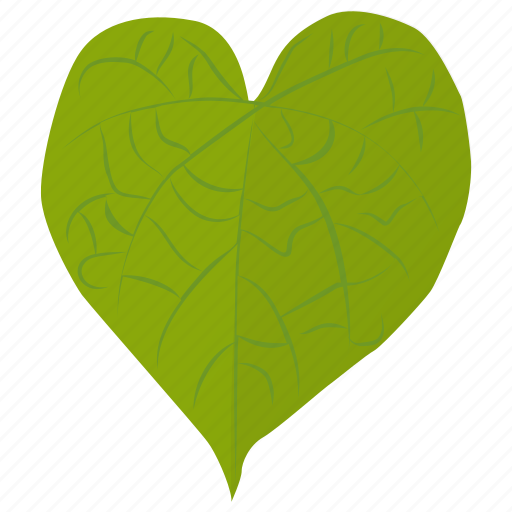 Foliage, green leaf, heart shaped, leaf, tilia cordata icon - Download on Iconfinder