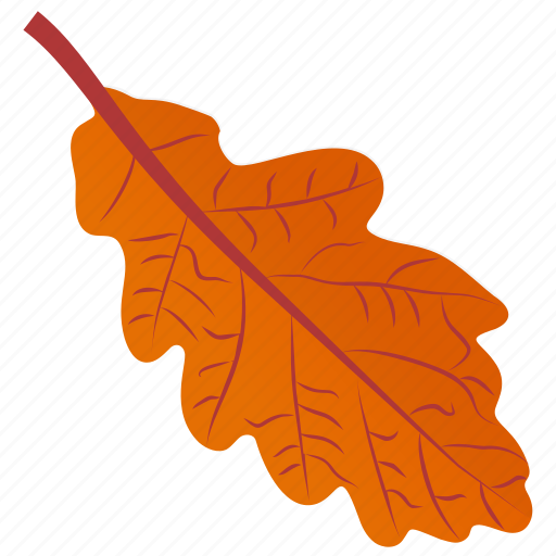Autumn leaf, foliage, leaf, leaf in fall, oak leaf icon - Download on Iconfinder
