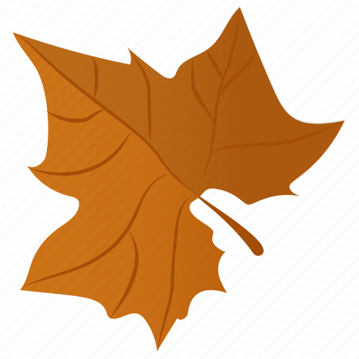 Autumn leaf, foliage, leaf, leaf in fall, maple leaf icon - Download on Iconfinder