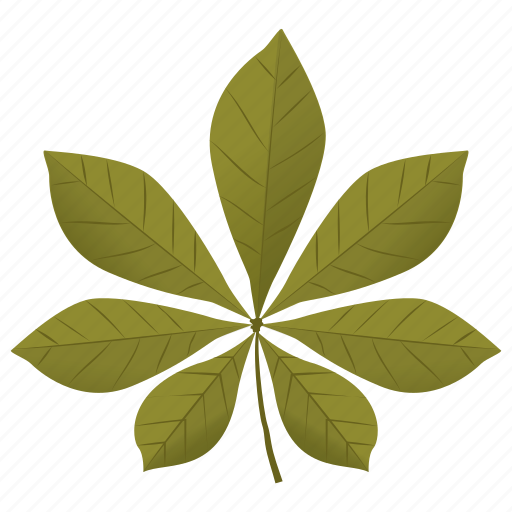 Aesculus hippocastanum, chestnut leaf, foliage, horse chestnut, leaf icon - Download on Iconfinder
