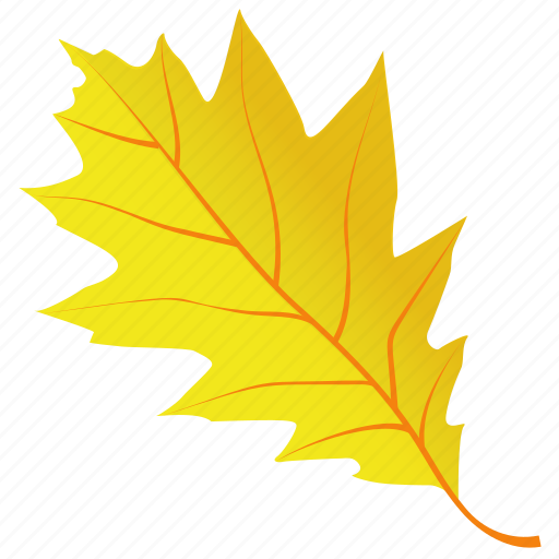 Autumn leaf, foliage, leaf, leaf in fall, oak leaf icon - Download on Iconfinder